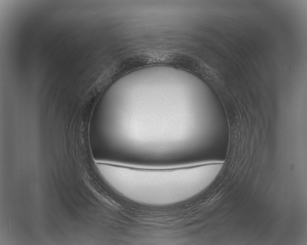 X0000058110215200509230829