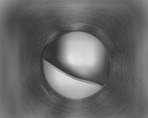 X0000058110216200509230829