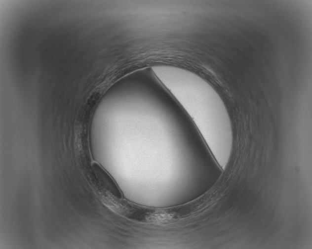 X0000058110217200509230828