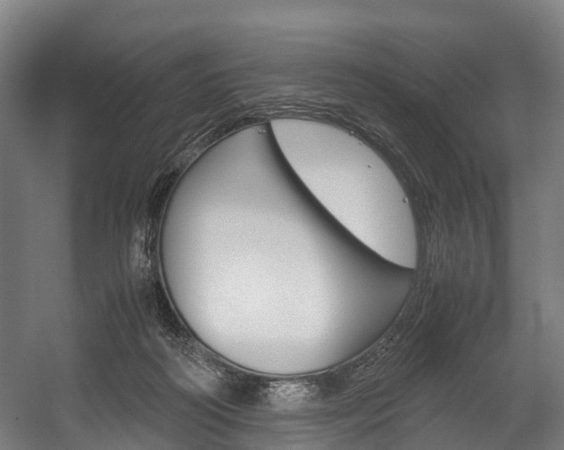 X0000058110218200509230828