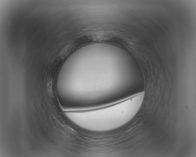 X0000058110219200509230828