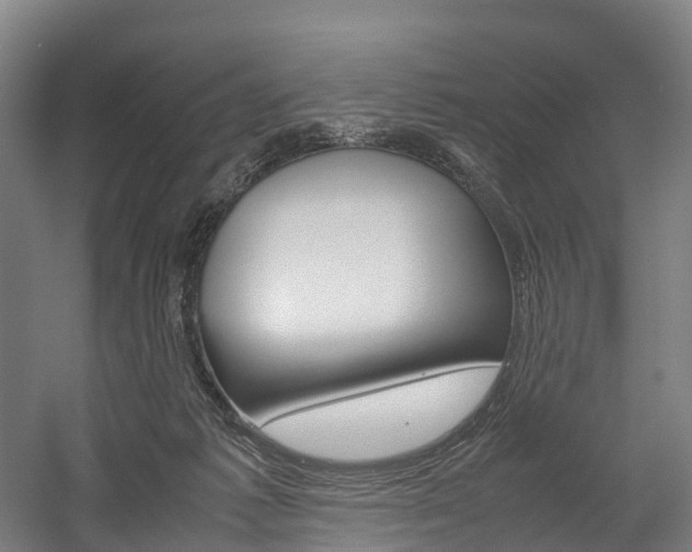 X0000058110221200509230828