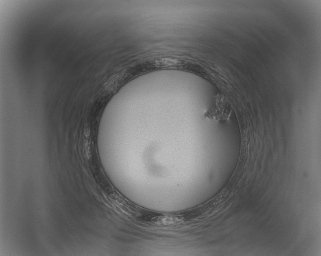 X0000058110223200509230828