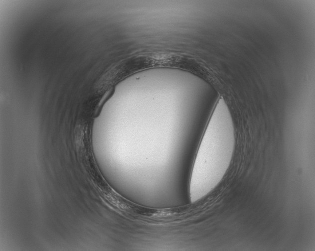 X0000058110225200509230828