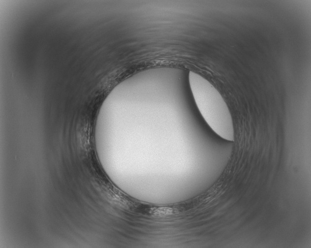 X0000058110230200509230828