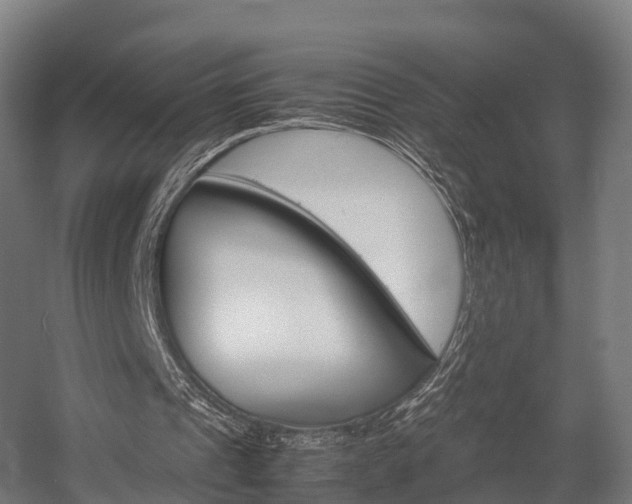 X0000058110241200509230827