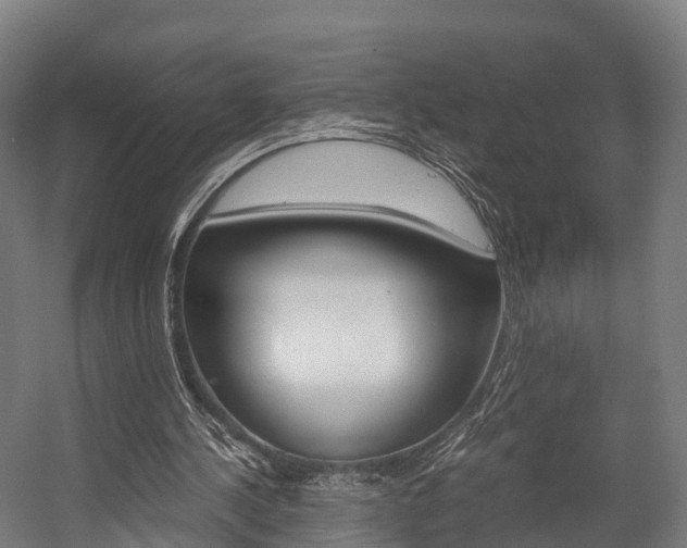 X0000058110244200509230827