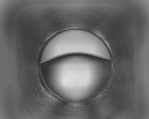 X0000058110249200509230827