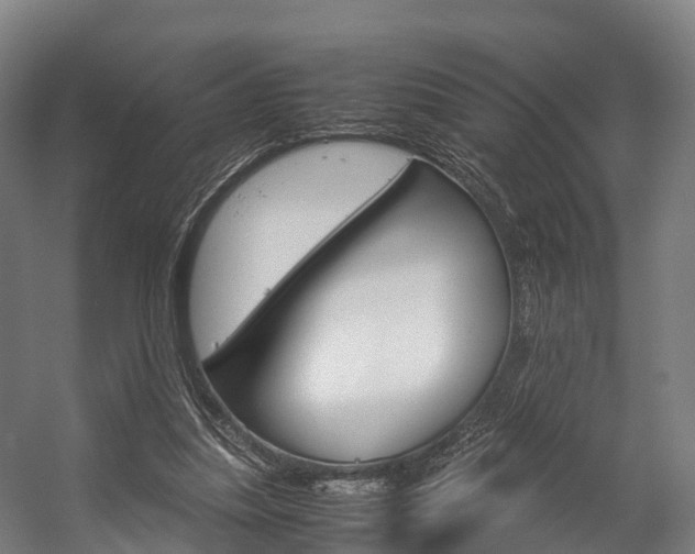 X0000058110251200509230827