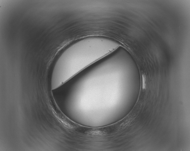 X0000058110253200509230827