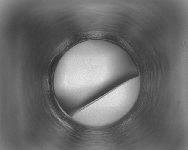 X0000058110254200509230827