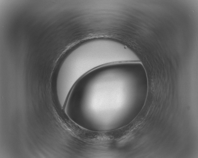 X0000058110256200509230828