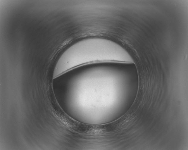X0000058110260200509230828