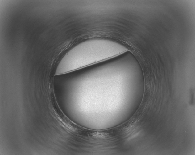 X0000058110261200509230828