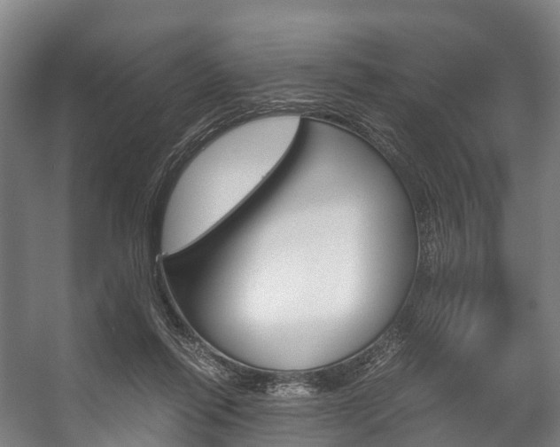 X0000058110262200509230828