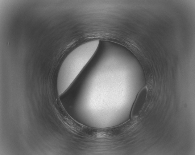 X0000058110264200509230828