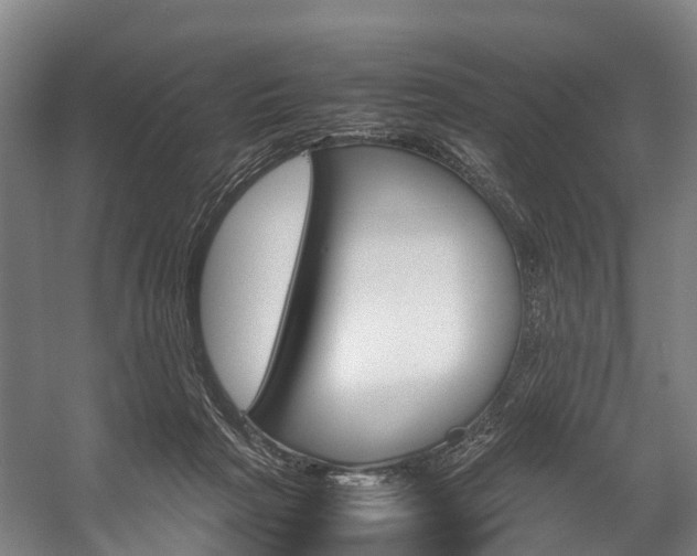 X0000058110265200509230828