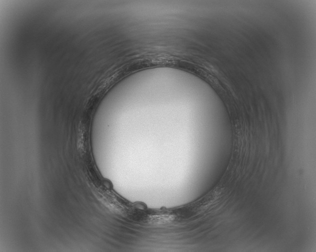 X0000058110266200509230828