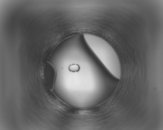 X0000058110268200509230828