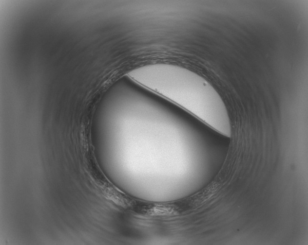 X0000058110270200509230828