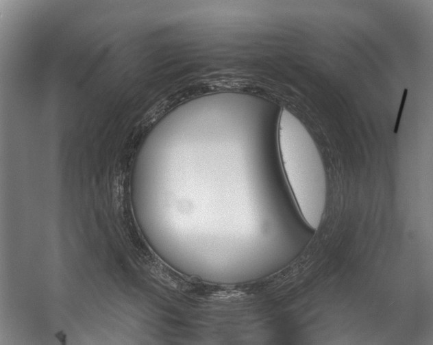 X0000058110271200509230828