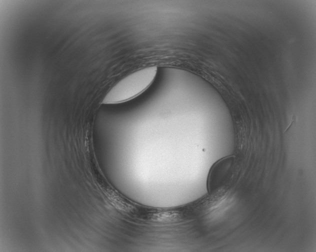 X0000058110274200509230828