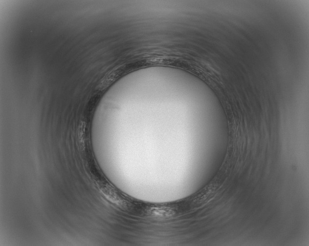 X0000058110275200509230828