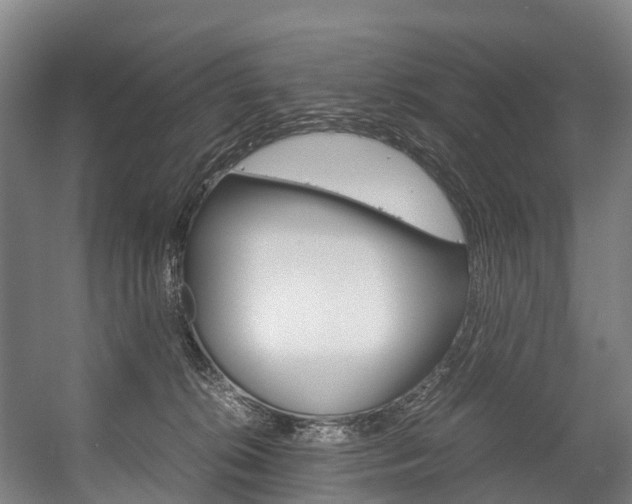 X0000058110276200509230828