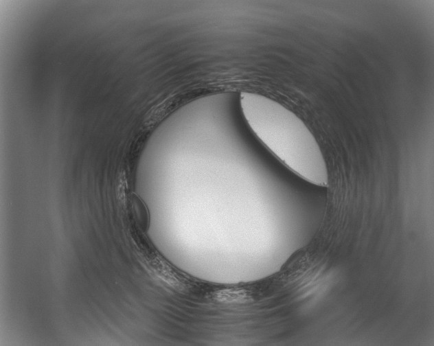 X0000058110279200509230828