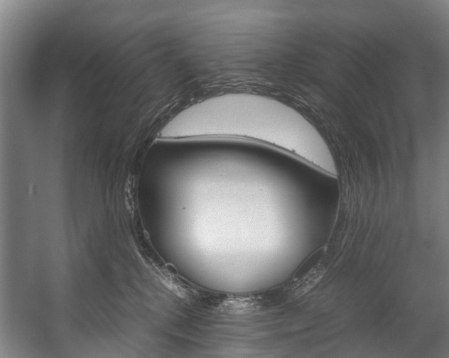 X0000058110280200509230828