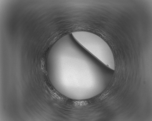 X0000058110281200509230828