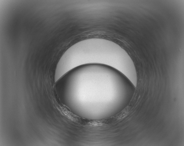 X0000058110284200509230828