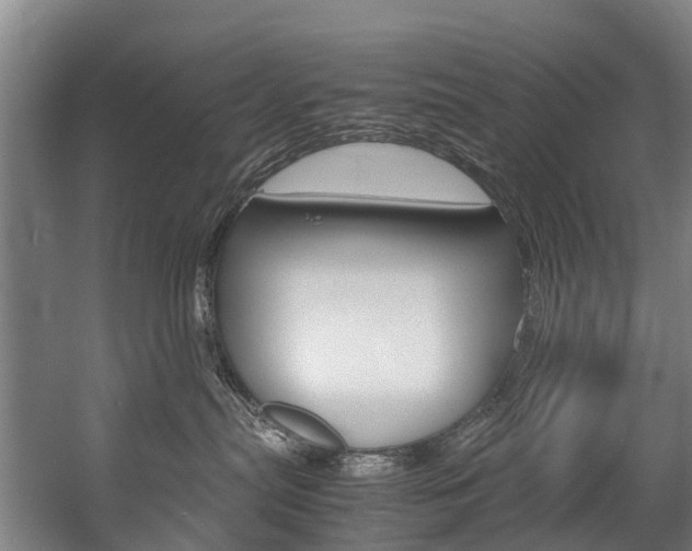 X0000058110287200509230828