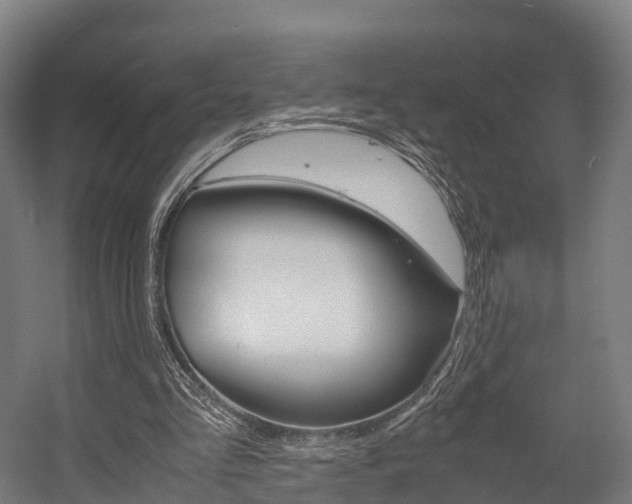 X0000058110293200509230827