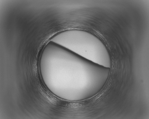 X0000058110298200509230827