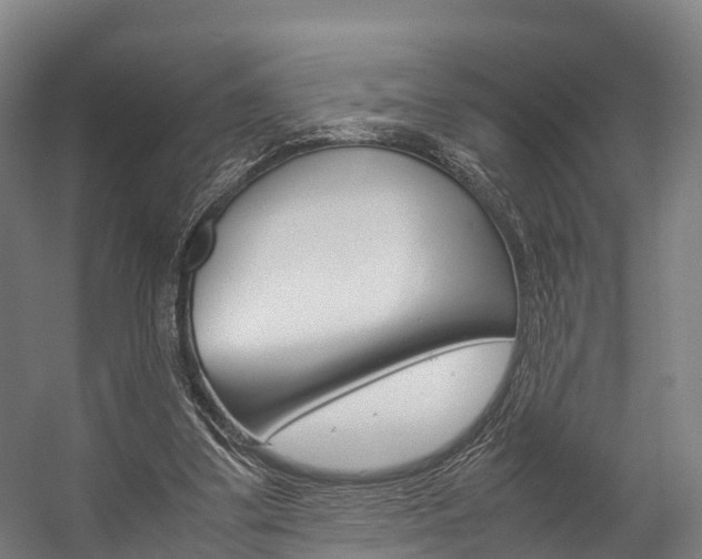 X0000058110299200509230827