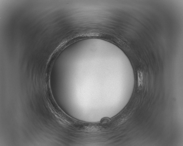 X0000058110300200509230827