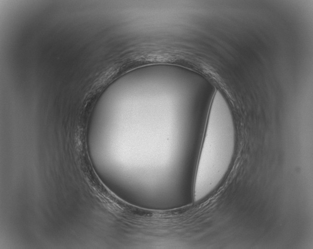 X0000058110305200509230827