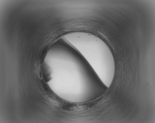 X0000058110307200509230827