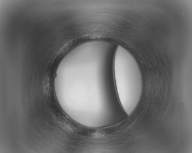 X0000058110308200509230827