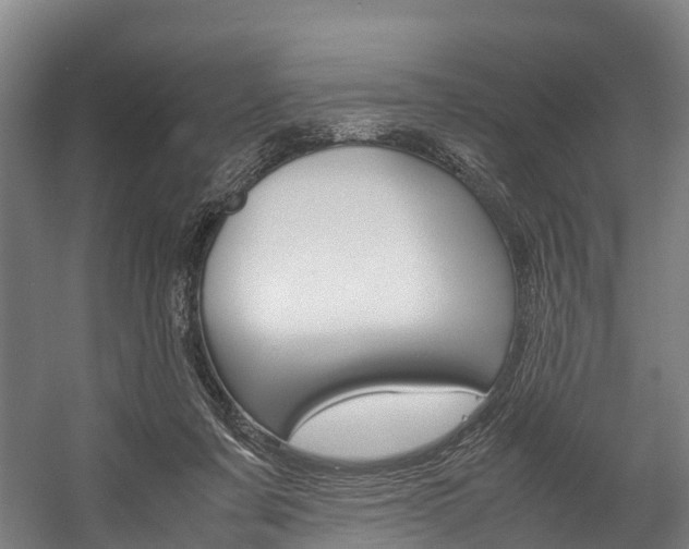 X0000058110311200509230827