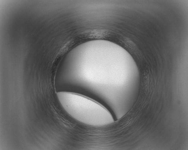 X0000058110312200509230827