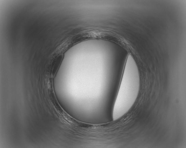 X0000058110313200509230827