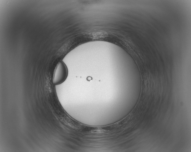 X0000058110316200509230827