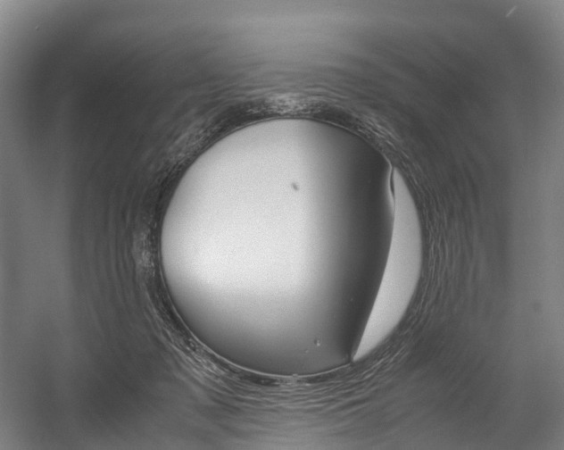 X0000058110317200509230827