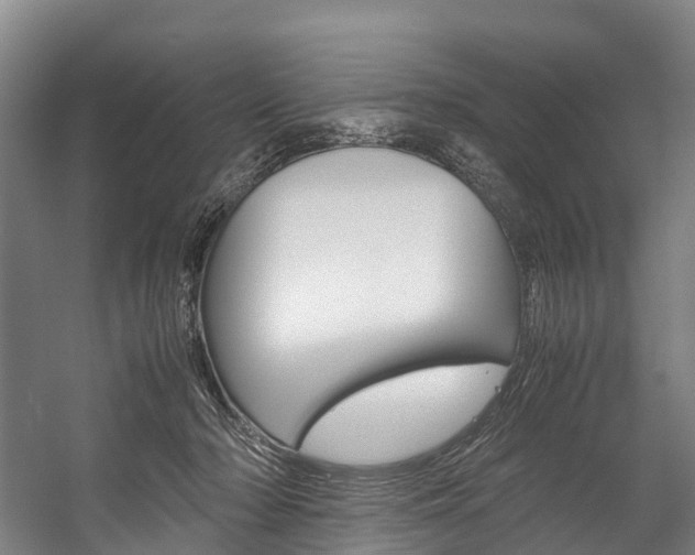 X0000058110318200509230827