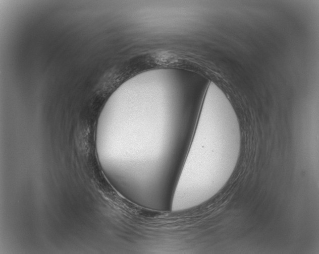 X0000058110319200509230827