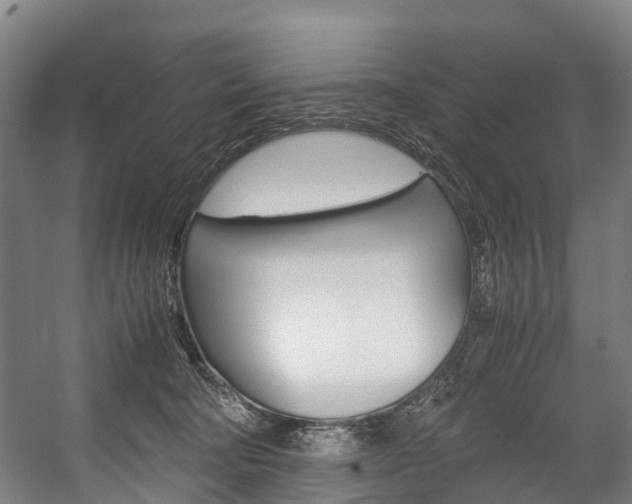 X0000058110322200509230827