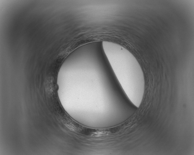 X0000058110323200509230827