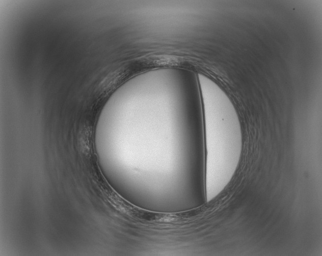 X0000058110325200509230827